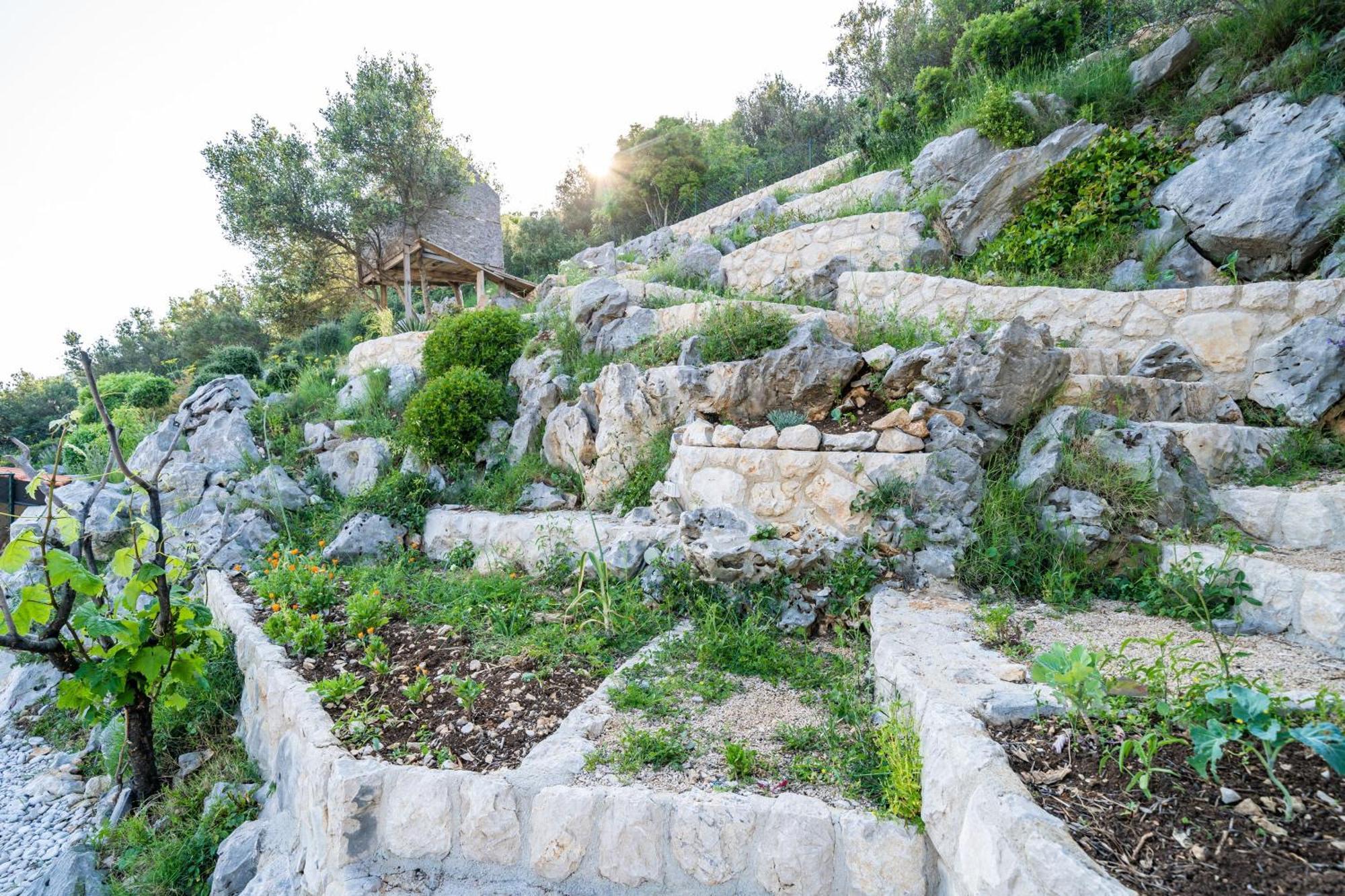 Apartments Villa Arcadia Dubrovnik Rum bild